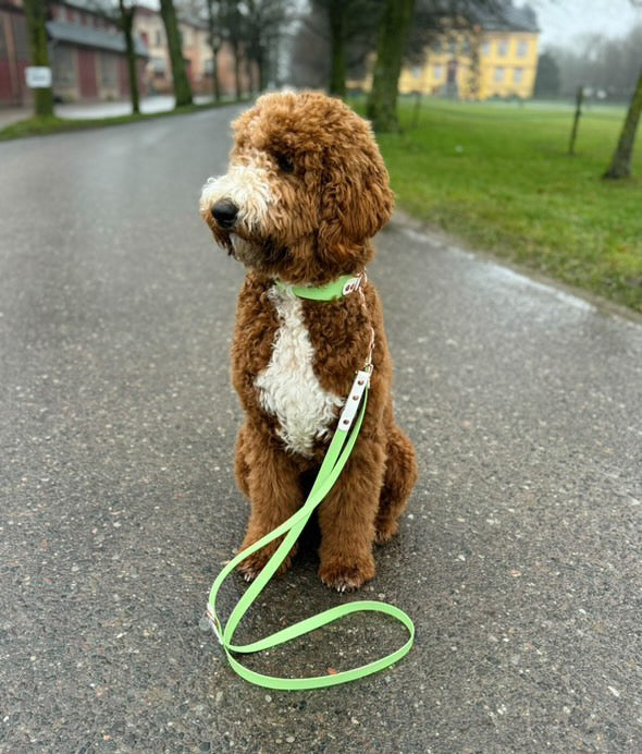 Halsband Biothane, Pastell Grün und Weiß, extra breit