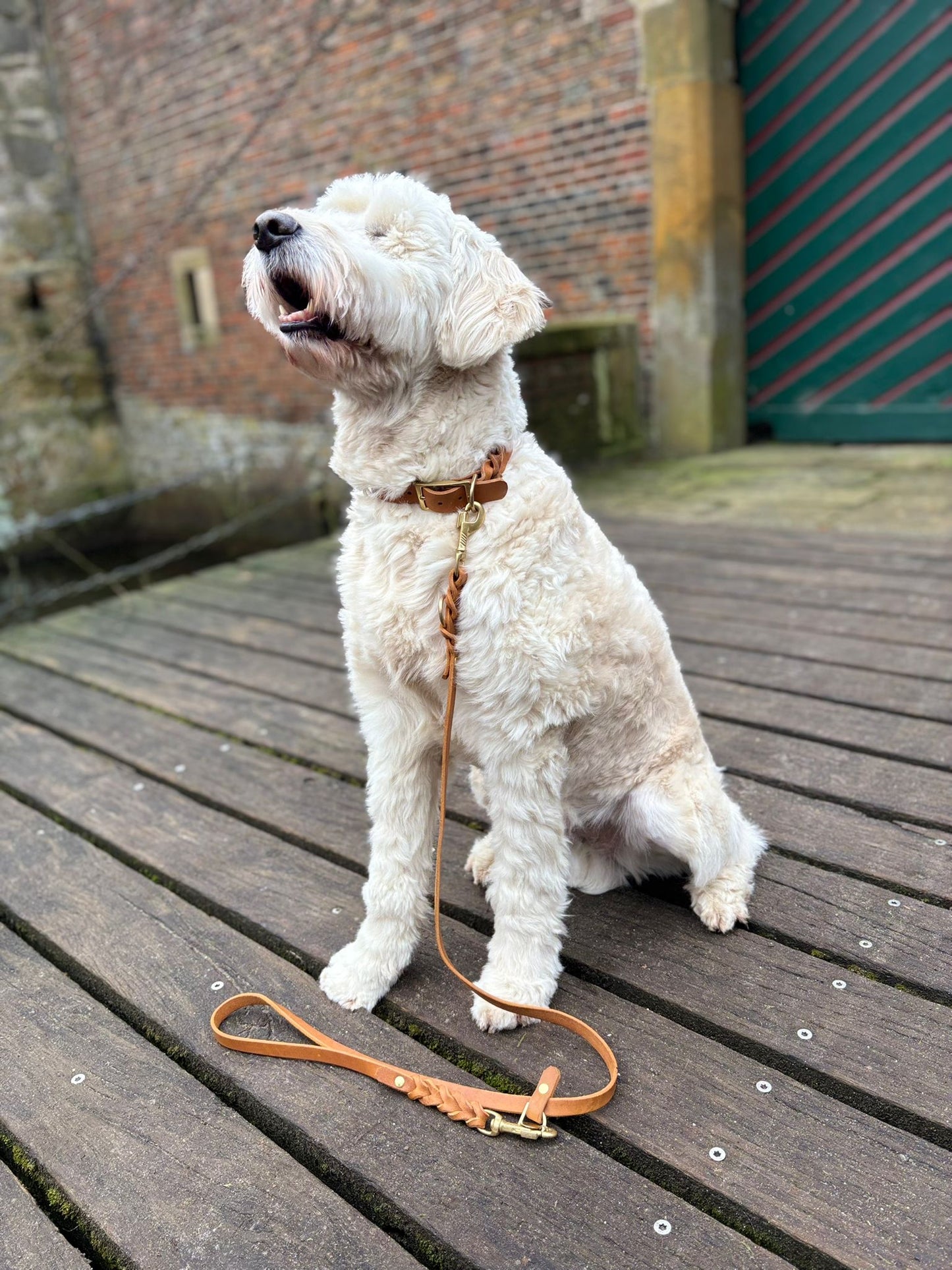 Fettleder Halsband, teilgeflochten, Cognac