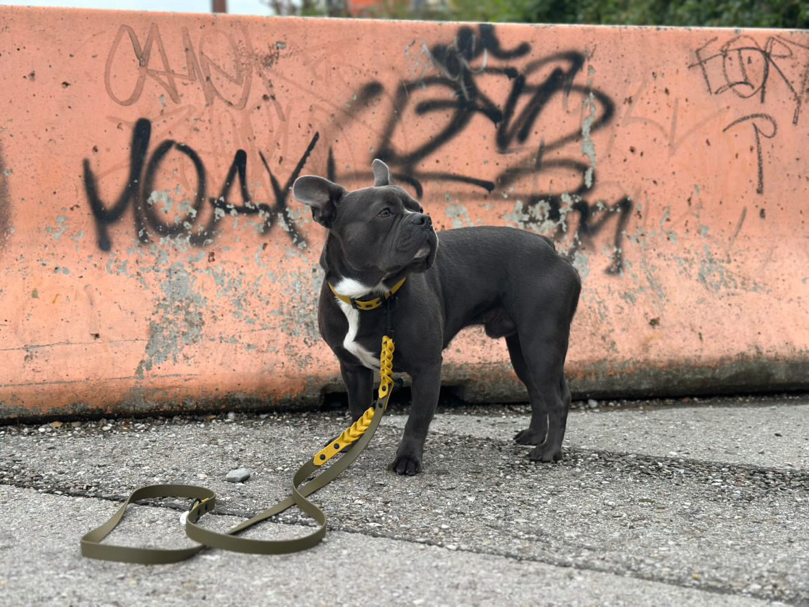 Biothaneleine, Oliv und Senf Gelb, verstellbar