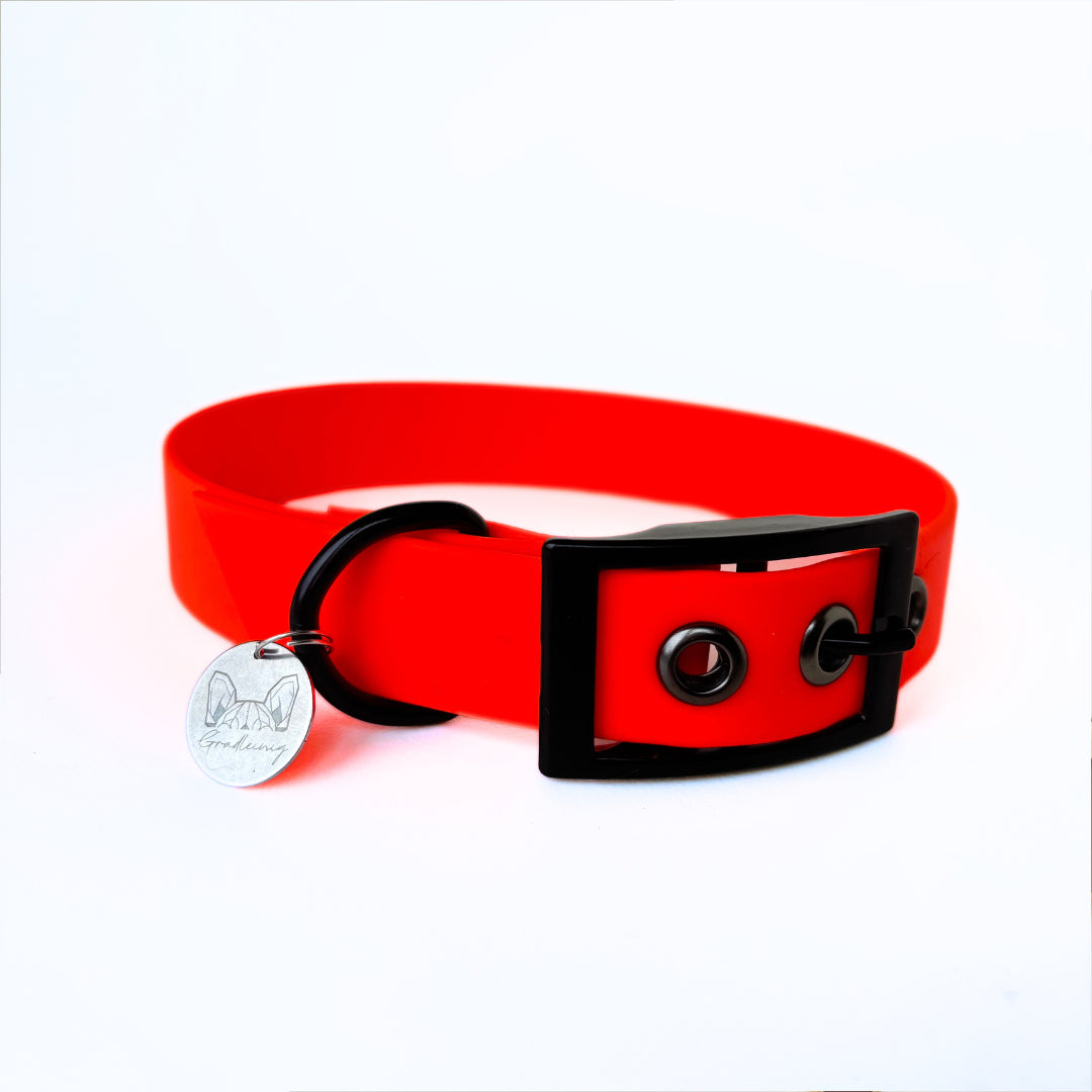 Halsband Biothane, Orange, verstellbar