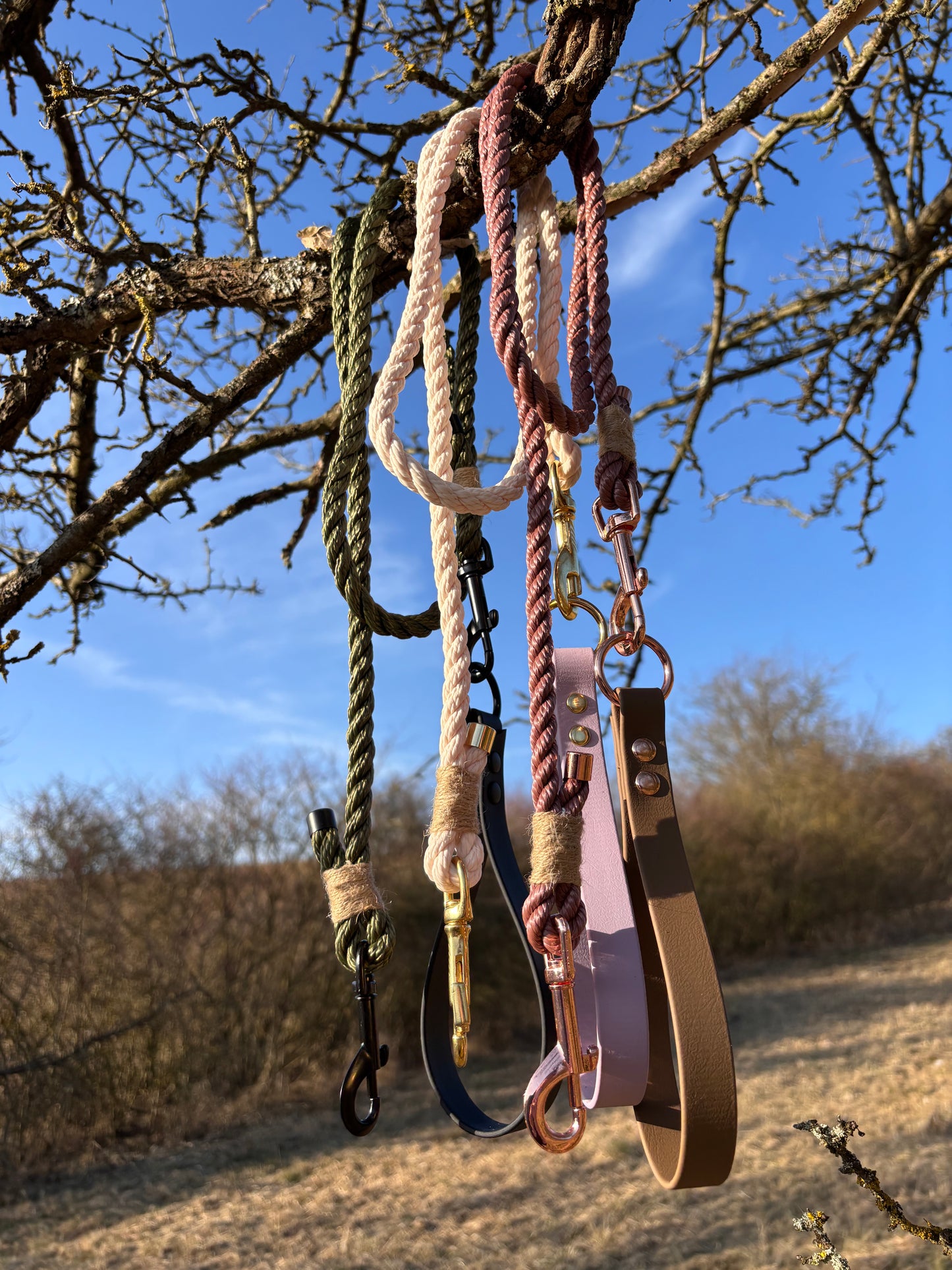 Leine aus Baumwollseil - Dunkle Olive