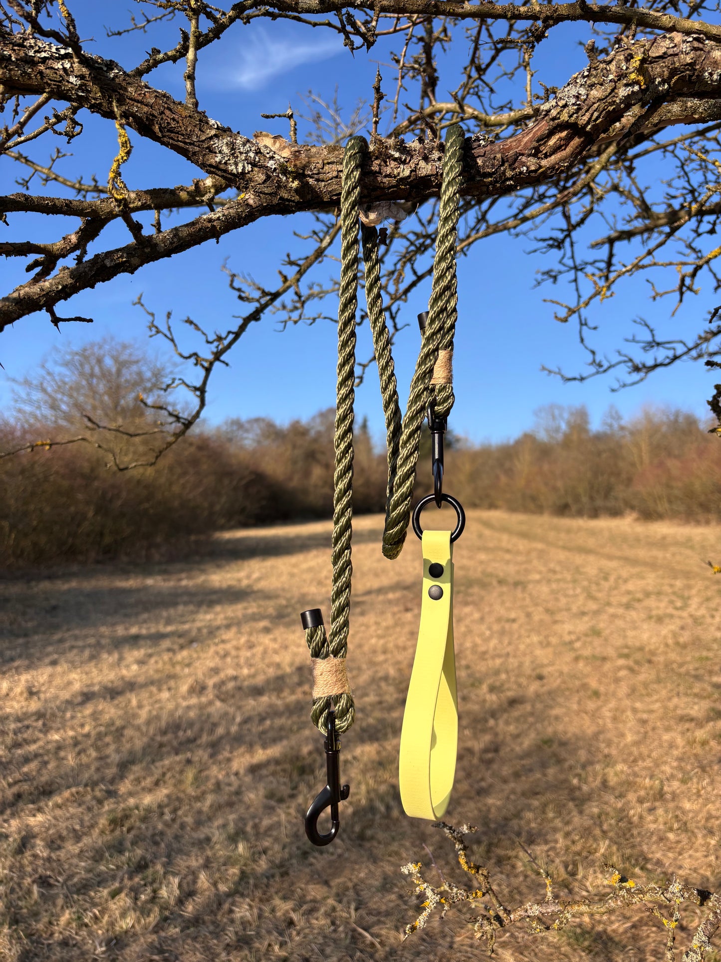Leine aus Baumwollseil - Dunkle Olive