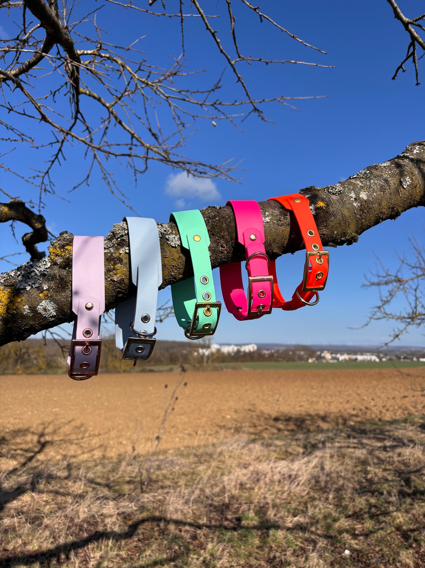 Halsband Biothane, Neon Pink, breit