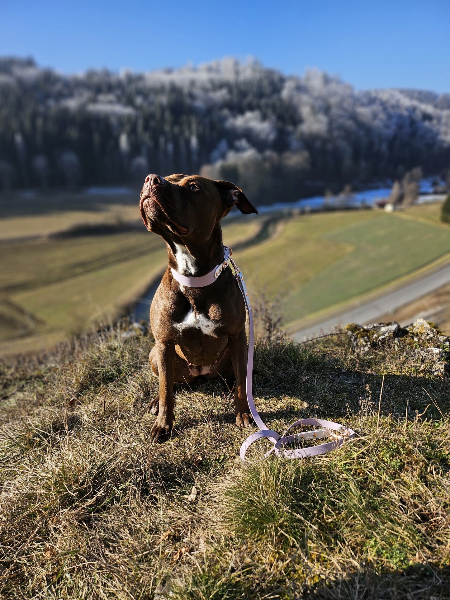 Biothaneleine, Flieder und Weiß, verstellbar
