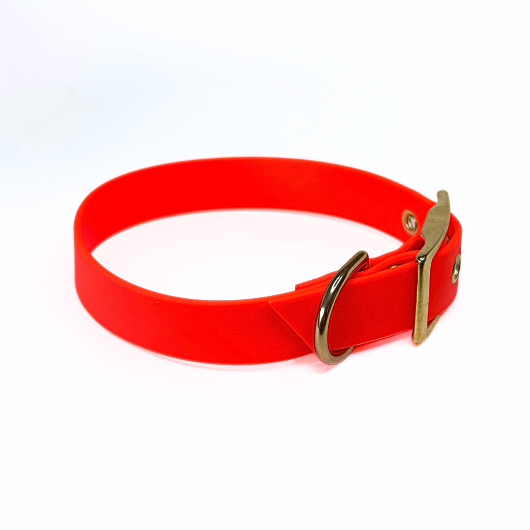 Halsband Biothane, Orange, verstellbar