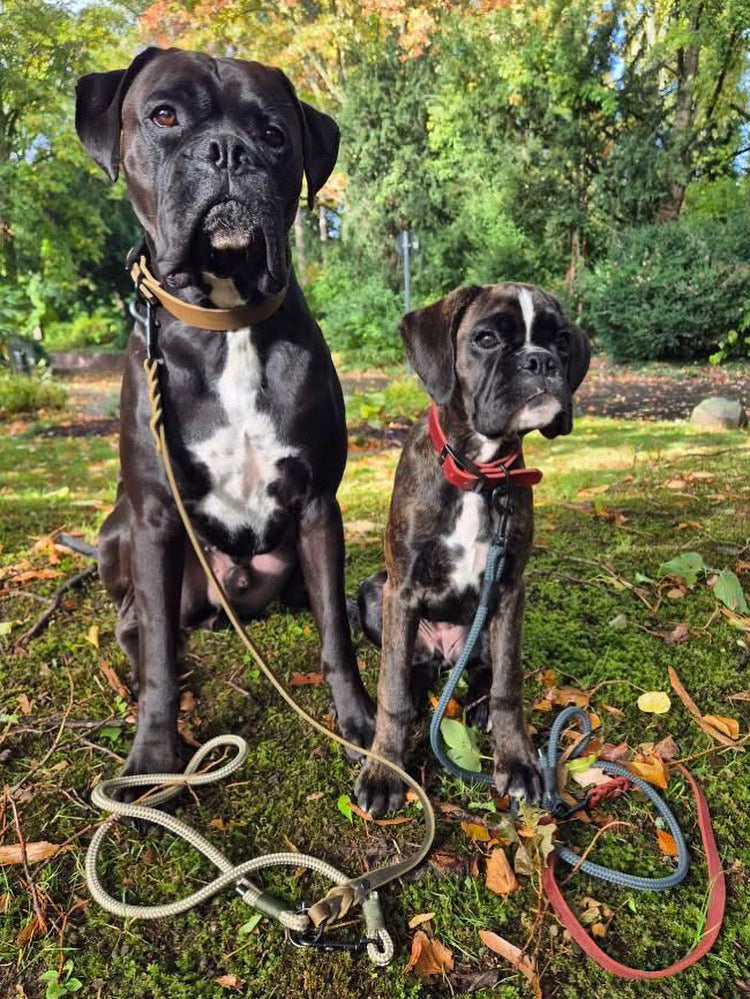 Herbst/Winter Kollektion