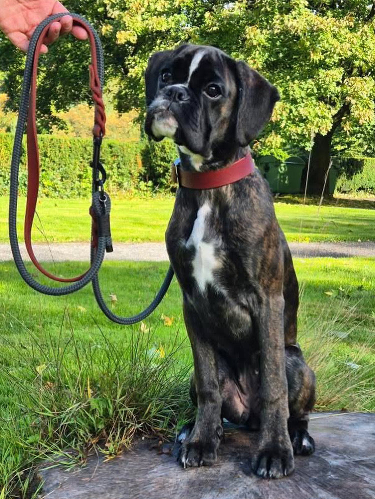 Fettleder und Tau Leine, teilgeflochten, Roast und Grau