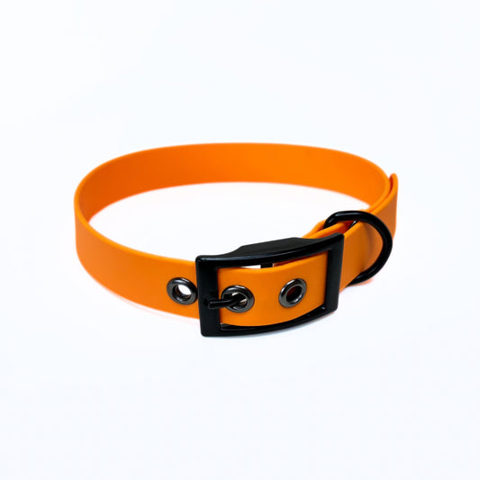 Halsband Biothane, Peach Orange