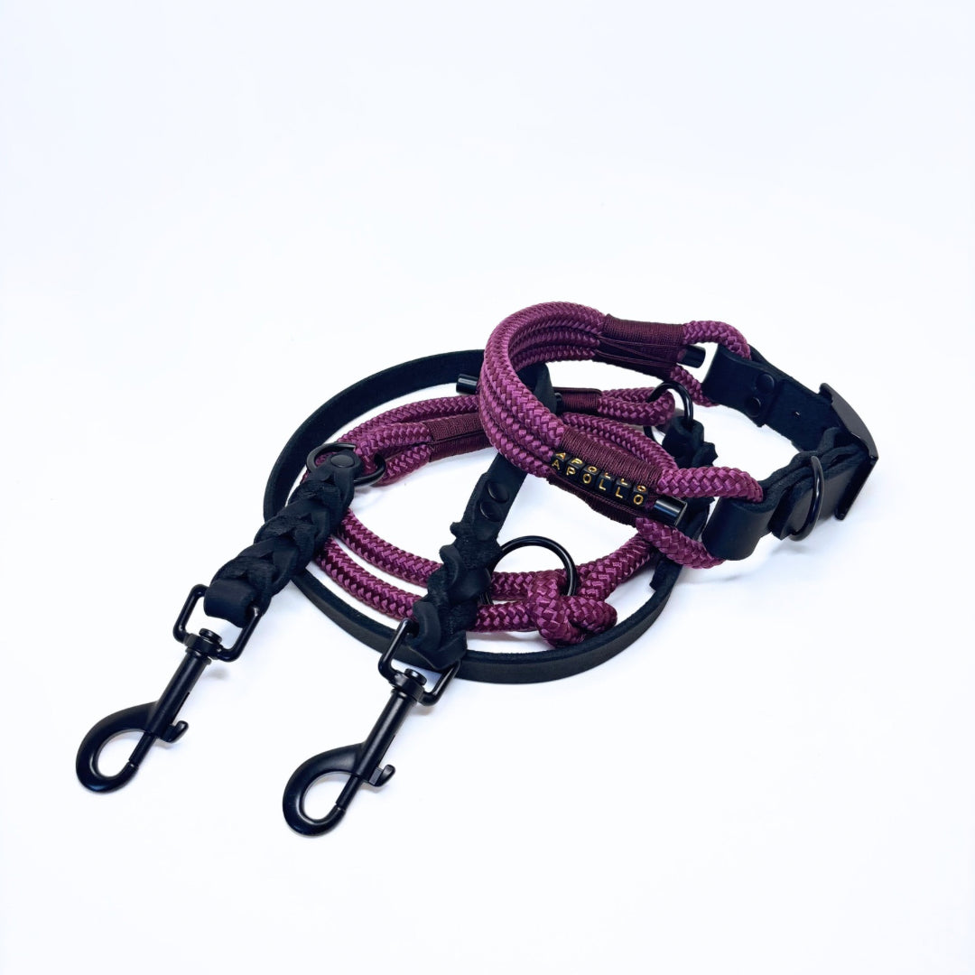 Fettleder und Tau Halsband, Schwarz und Weinrot