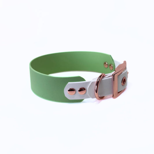 Halsband Biothane, Pastell Grün und Weiß, extra breit