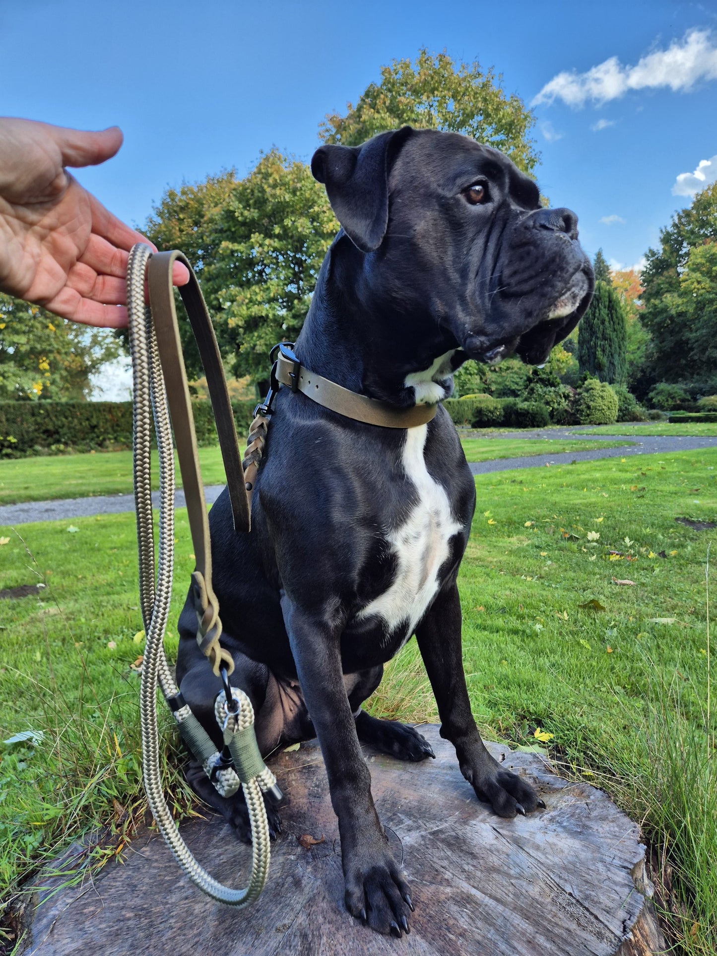 Fettleder und Tau Leine, teilgeflochten, Oliv und Tan