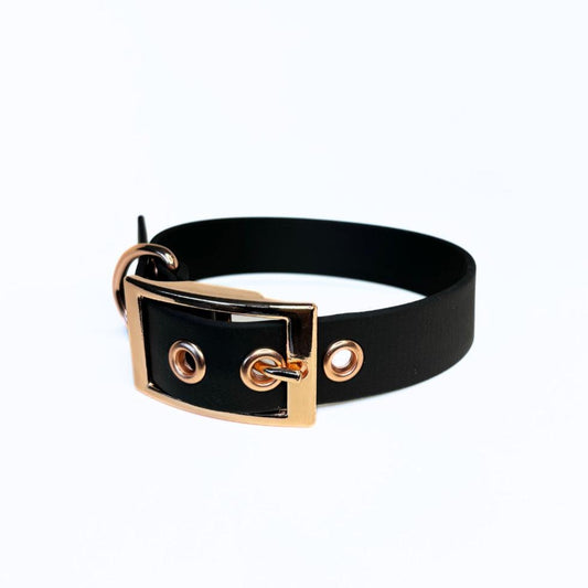 Halsband Biothane, Schwarz, verstellbar
