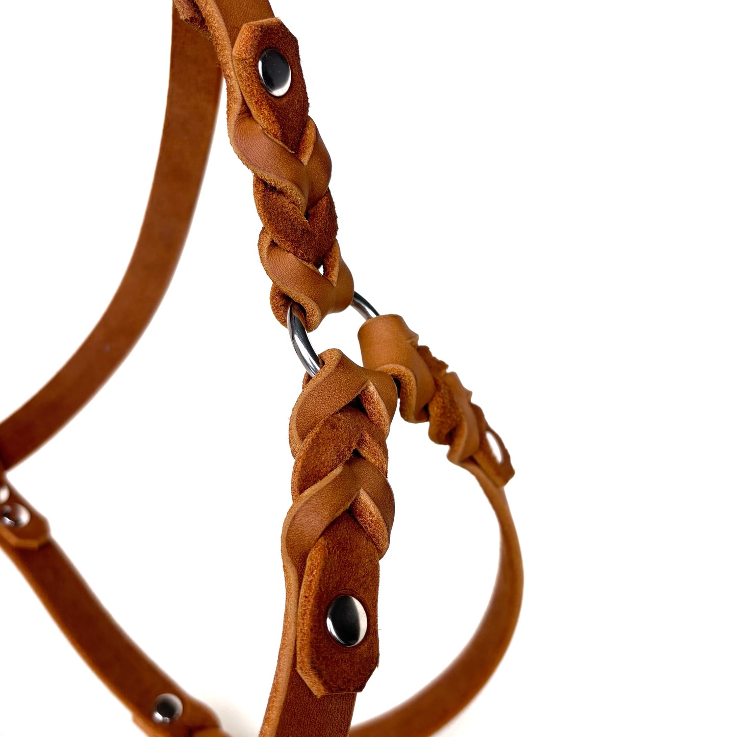 Hundegeschirr Fettleder, Cognac, teilgeflochten