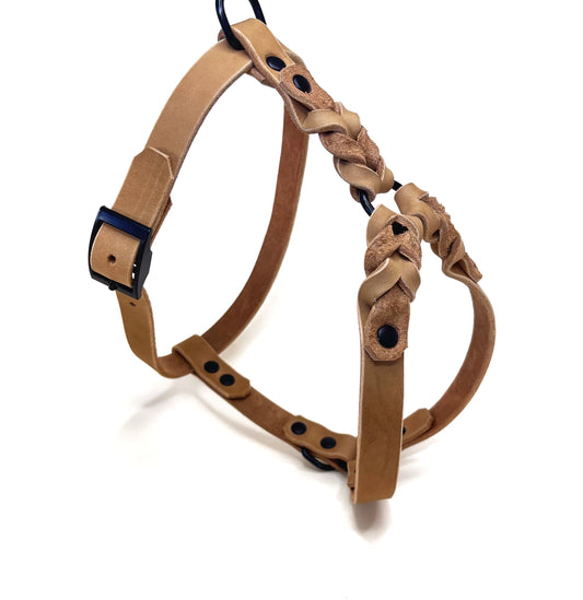 Hundegeschirr Fettleder, Camel, teilgeflochten