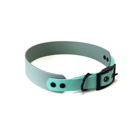 Halsband Biothane, Sea Grün und Caribbean Grün, extra breit