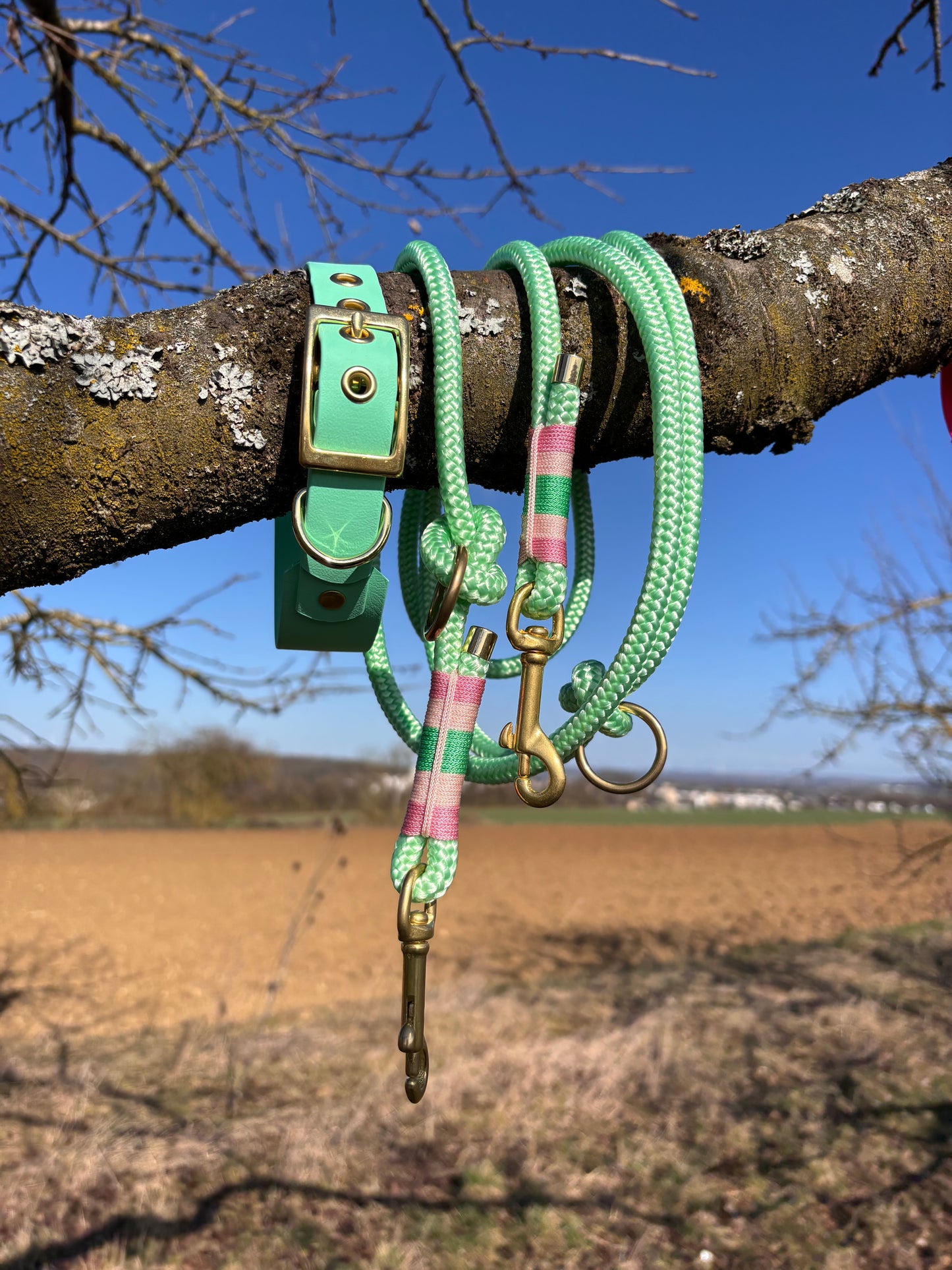 Halsband Biothane, Mint, breit